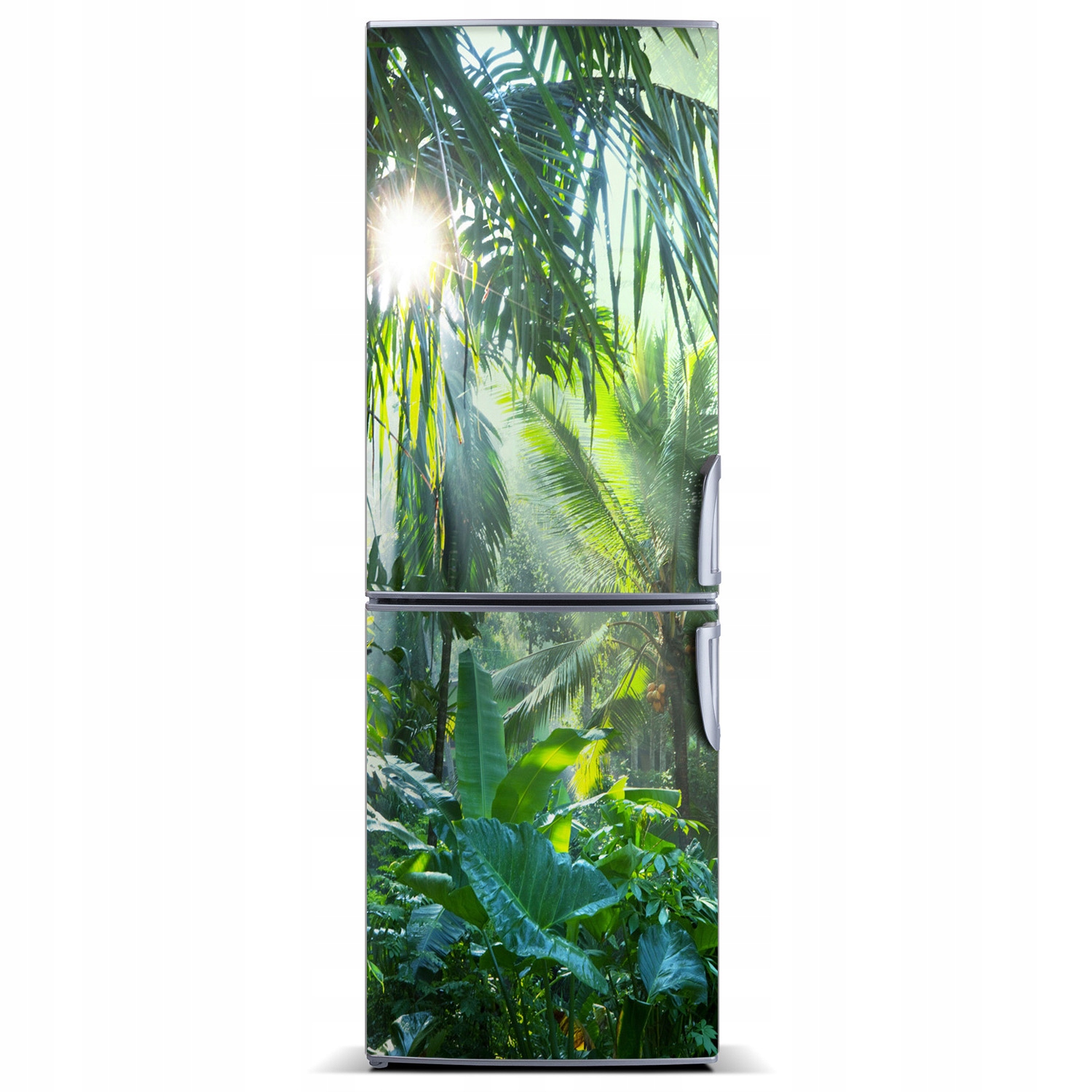 

Naklejka Magnes Magnes na lodówkę Dżungla 60x180