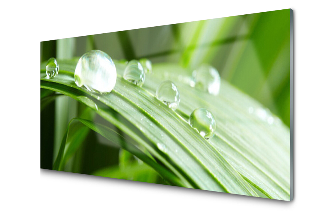 

Panel szklany dekor Liść Rosa Krople 120x60