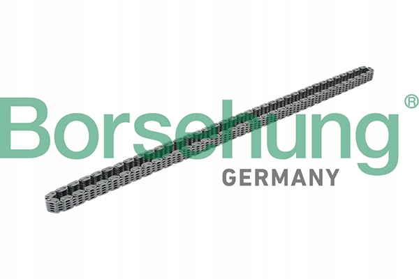 BORSEHUNG B17876 Łańcuch rozrządu Producent części Borsehung