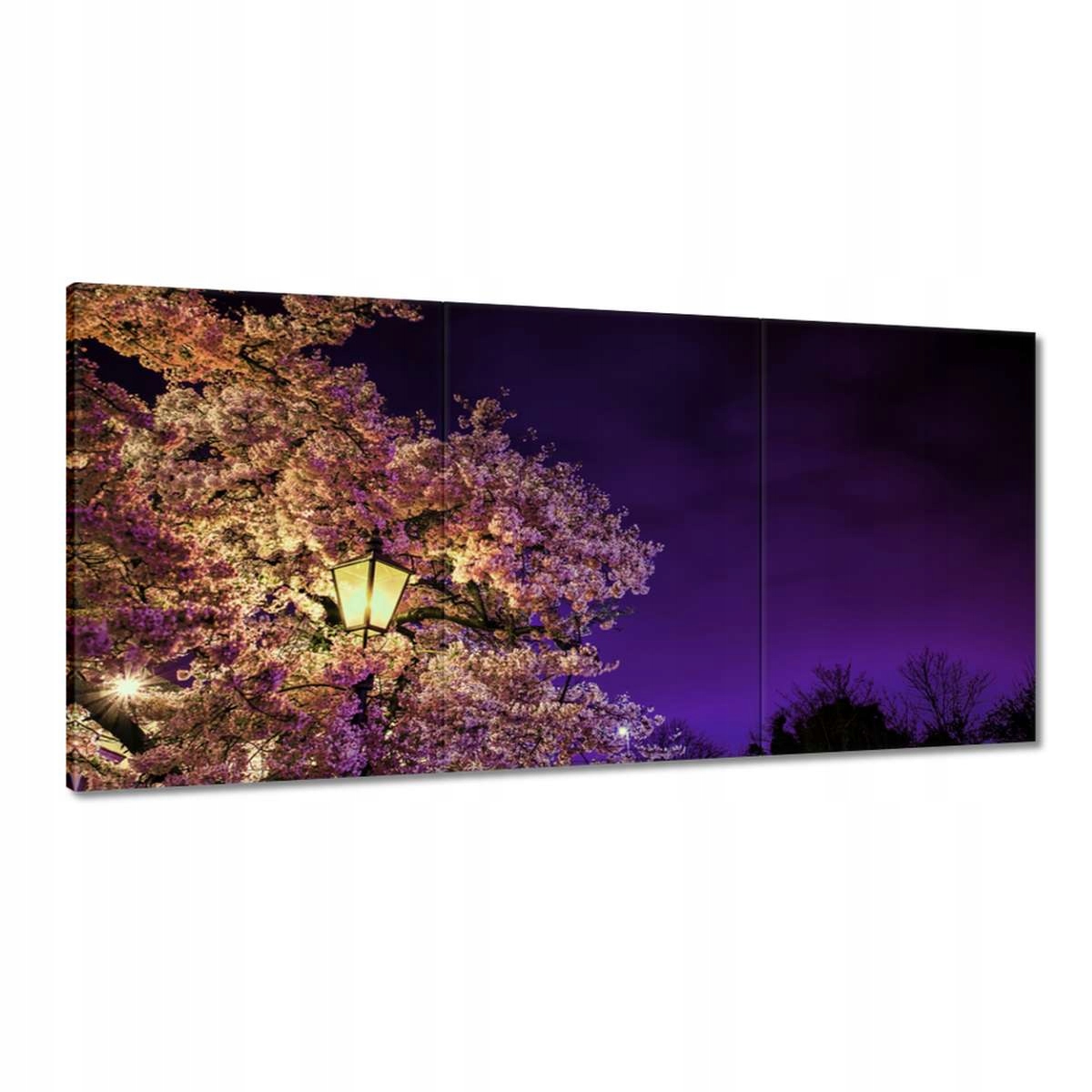 Obrazy 180x90 Nočný motív do obývačky