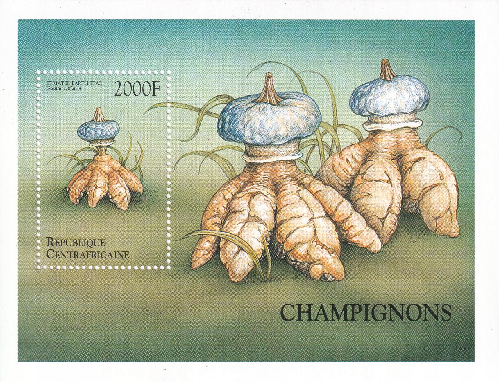 RŚA 1999 ** cena 7,90 zł kat.8€ - grzyby