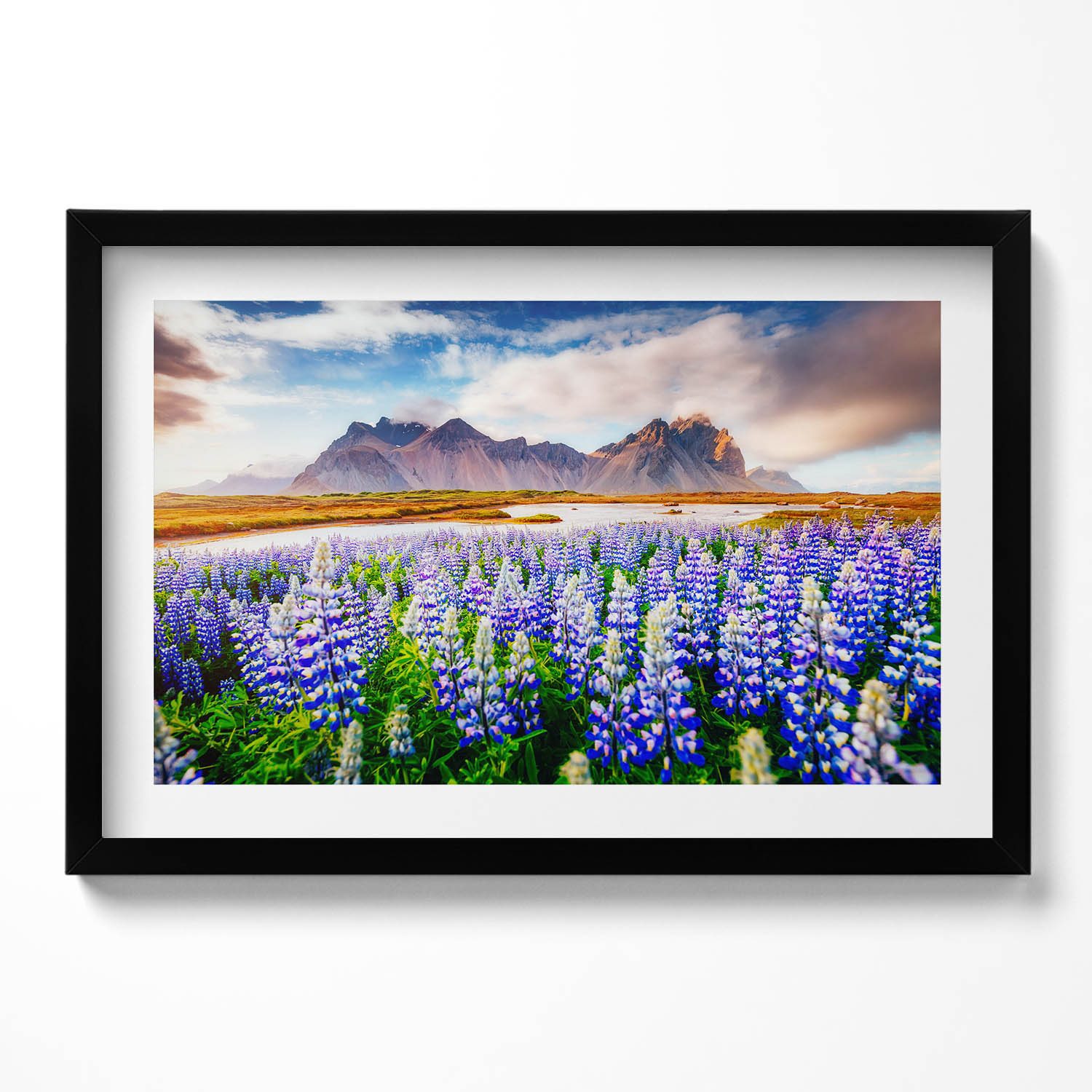 Dekorativní obraz v černém rámu do obývacího pokoje Kouzelné květy vlčího bobu 60x40 cm