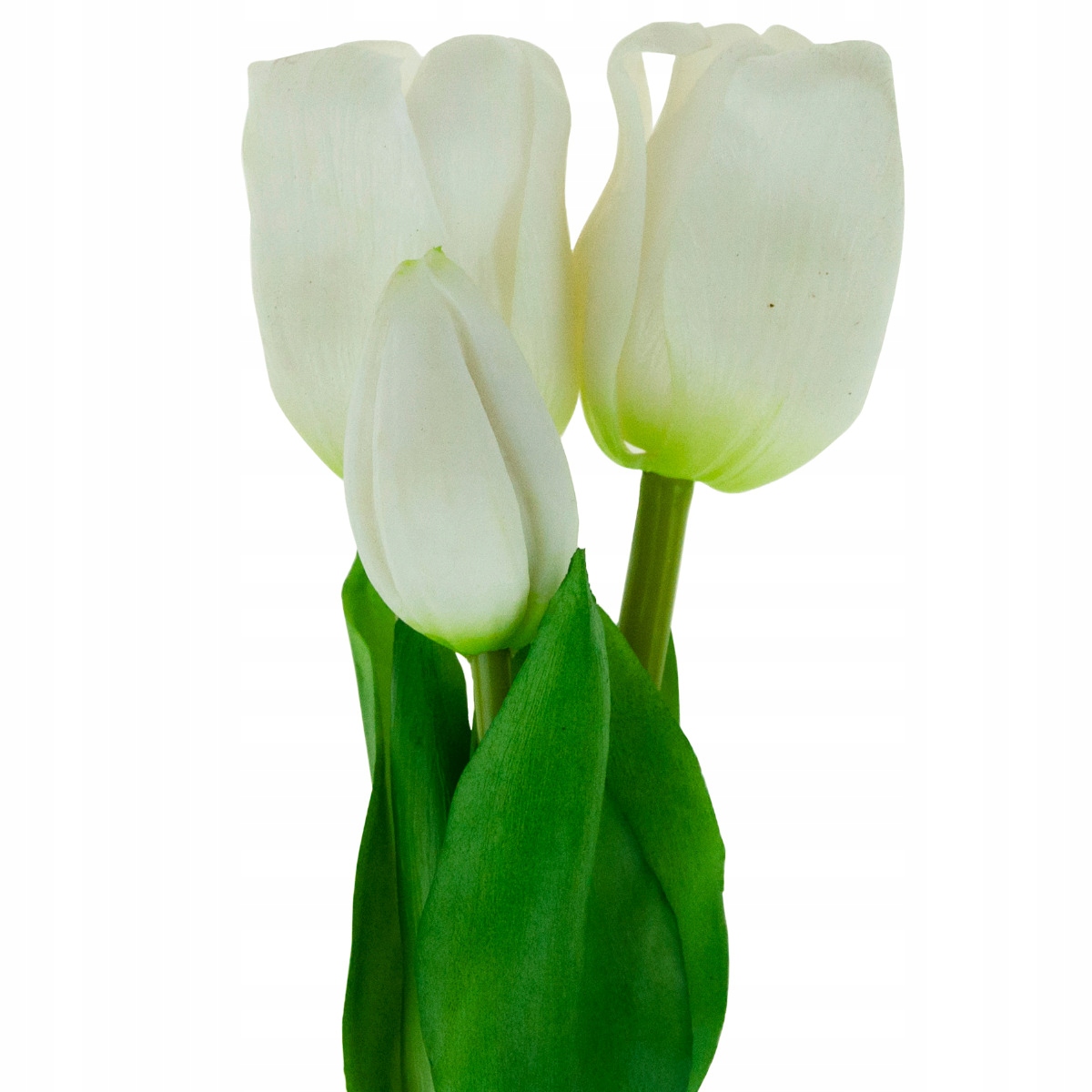 

Tulipany Gumowane Jak Żywe Bukiet Tulipanów Białe