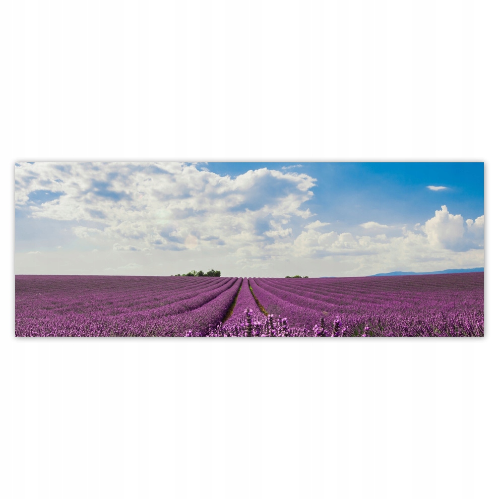 

Fototapety flizelina 250x93 Pole lawendy Lawenda