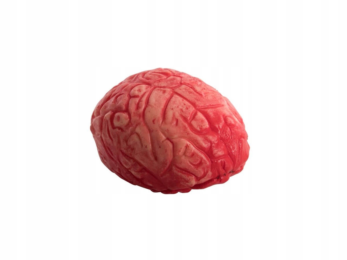 

Zakrwawiony Mózg dekoracja na Halloween