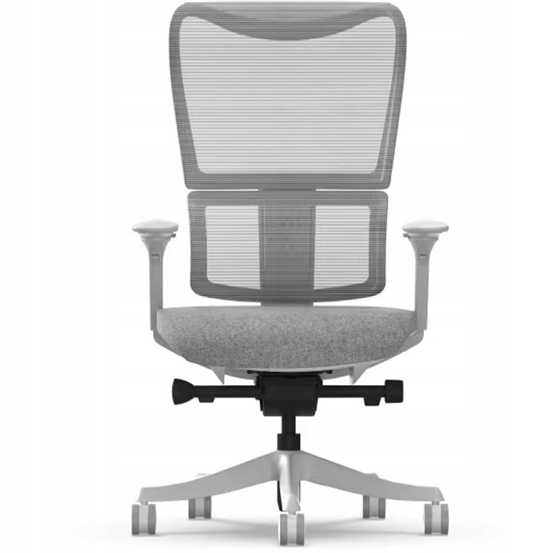 Fotel Biurowy Ergonomiczny 3D Regulowany Szary Flexispot BS8
