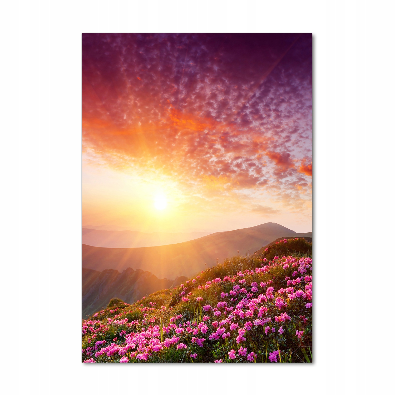 

Foto obraz szkło akrylowe Wiosna w górach 70x100cm