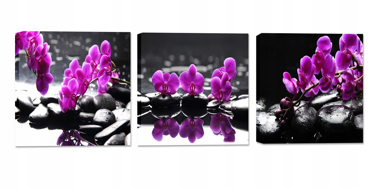 Obrazy Květiny Orchideje Sada Komplet 210 CM