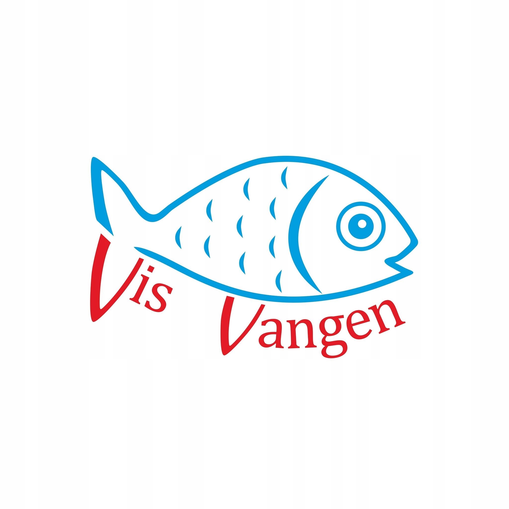 CIĘŻAREK DOCIĄZAJĄCY JIG RIG 10G 3SZT./OPK. Marka Vis Vangen