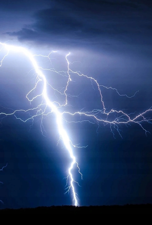 OGRANICZNIK OCHRONNIK PRZEPIĘĆ 3-FAZ B+C T1+T2 4P Marka VCX