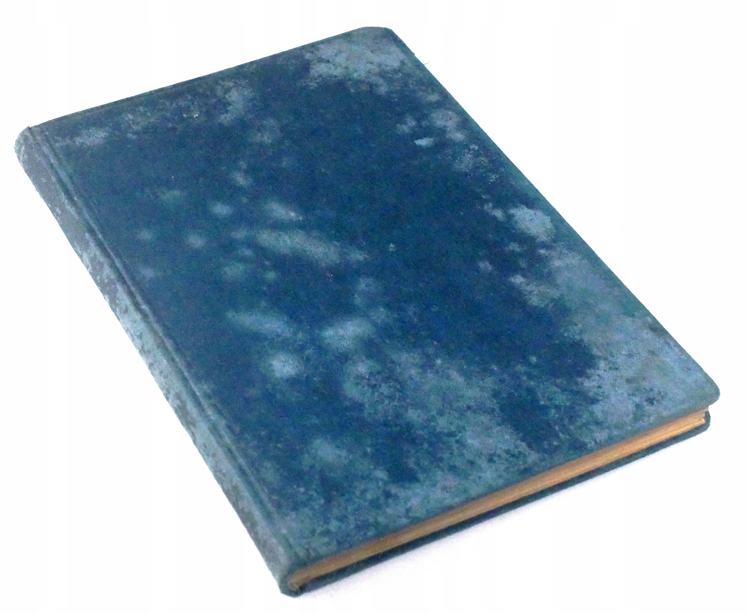 KAZANIA O MATCE BOSKIEJ Antoniewicz BADENI 1906