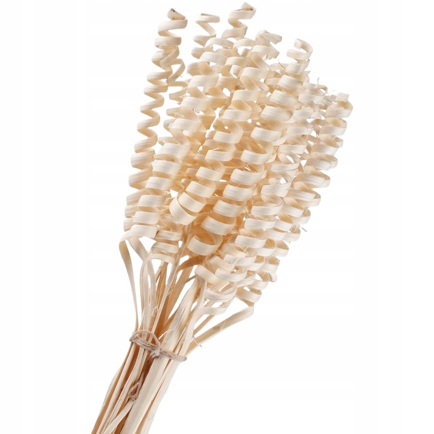 10x CANE SPRING SPRĘŻYNKI BIELONE SUSZ NATURALNY