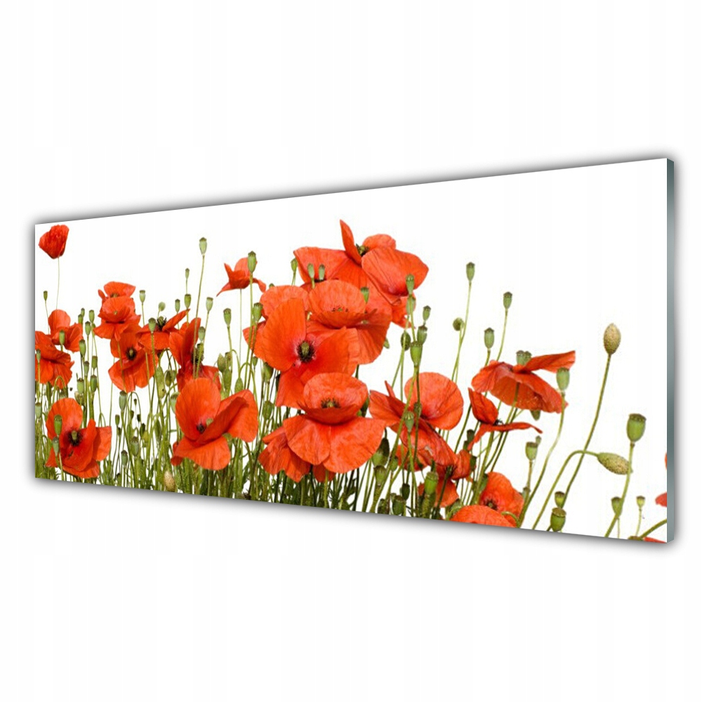 

Obraz akryl z grafiką 125x50 Maki Roślina Natura
