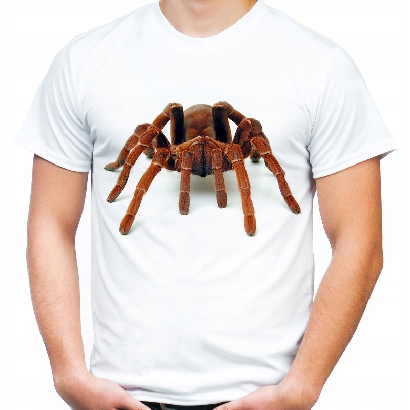 

Koszulka z pająkiem pawian tarantula pająk M