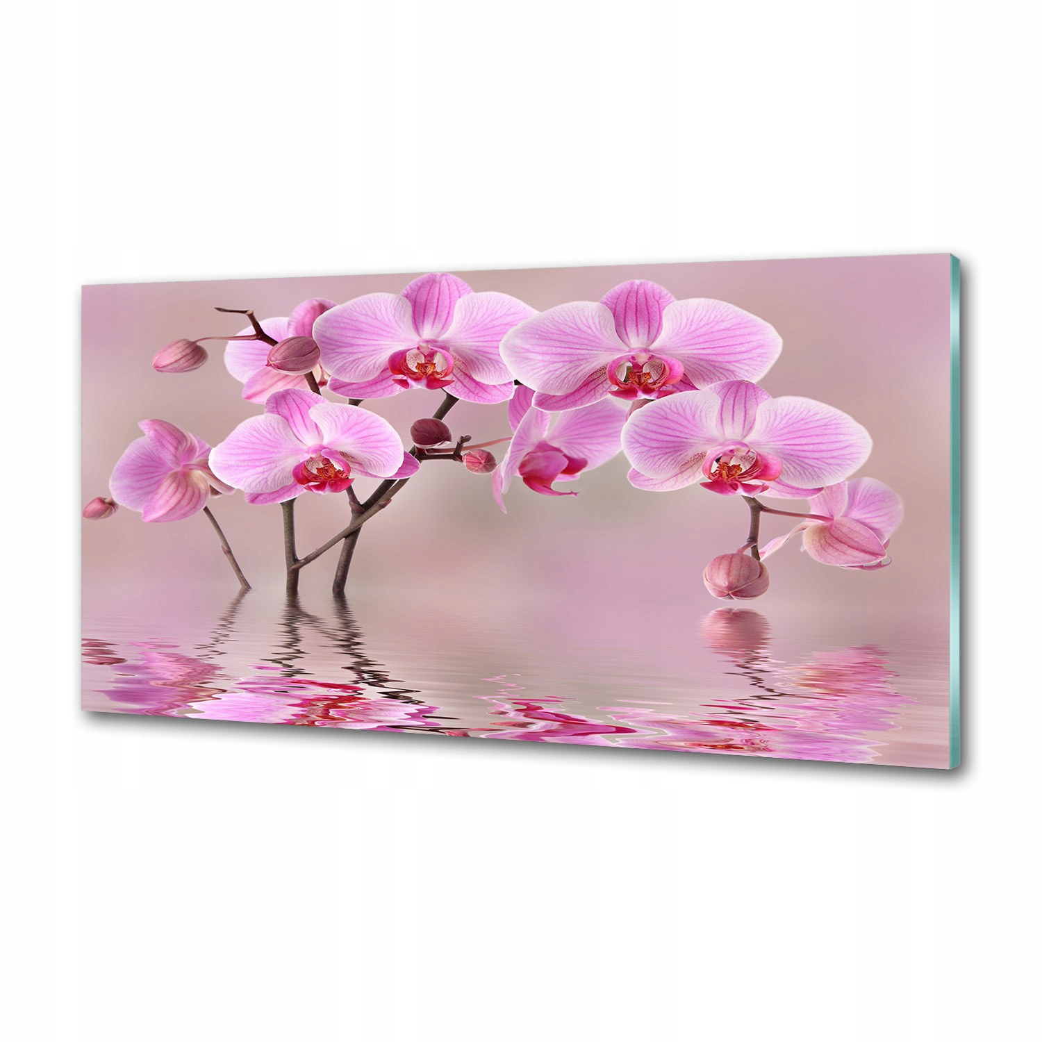 Panel do kuchyne Ružová orchidea 100 x 50 cm Lepidlo