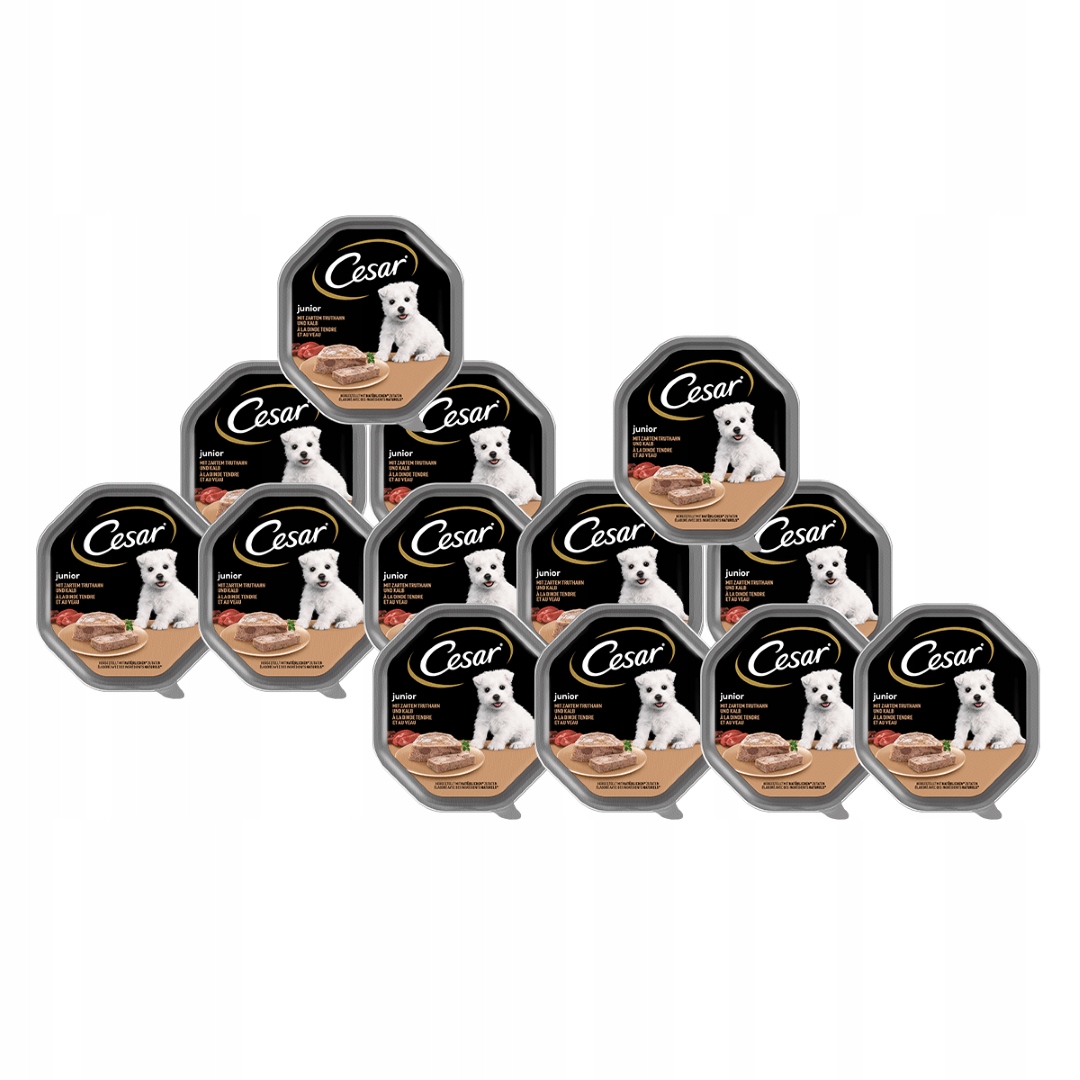 Levně Cesar Junior 14x150g Vlhké Krmivo pro štěňata Krůta Telecí maso v paštice