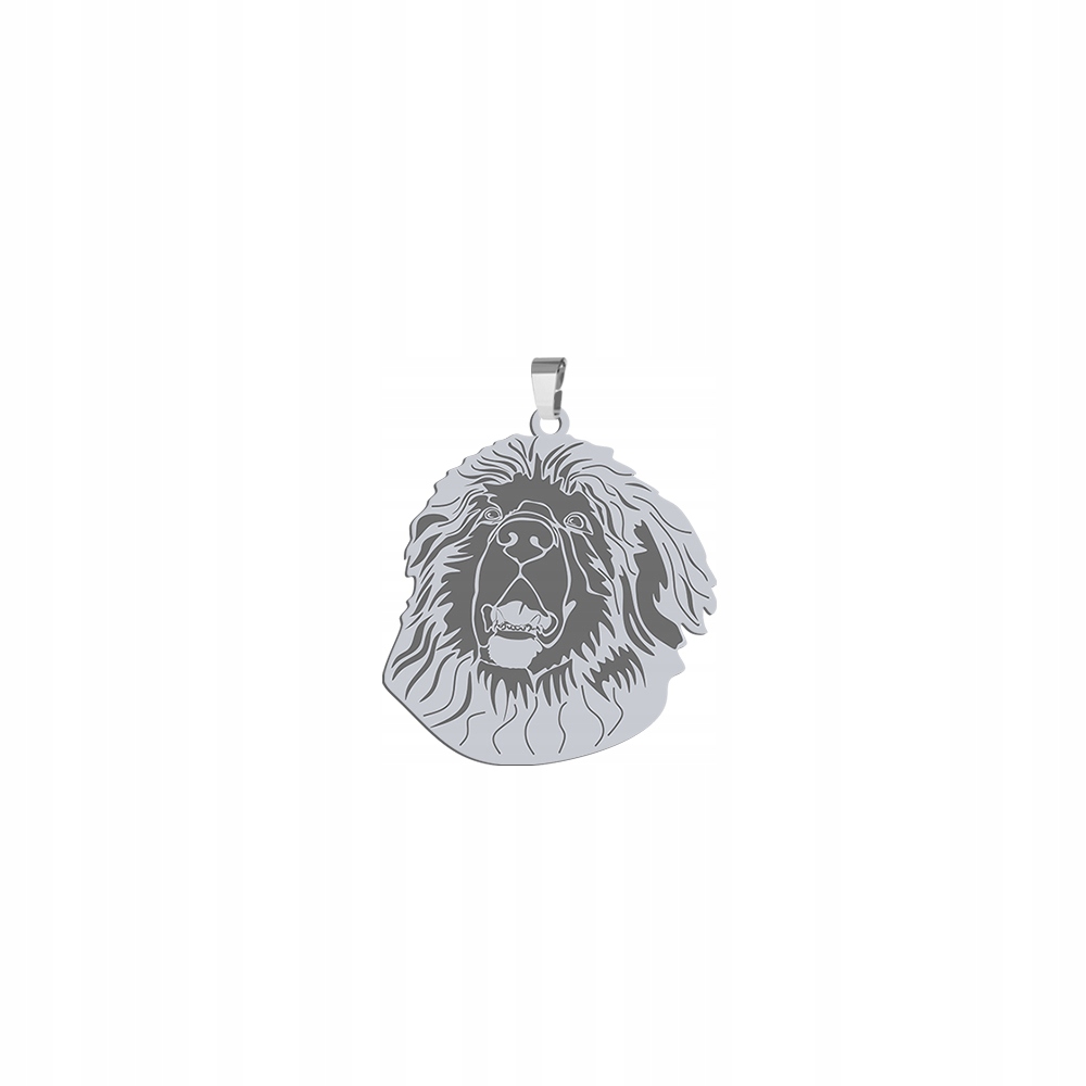 Stříbrný přívěsek s psem Leonberger 925 Dárek Šperky Žena Gravírování