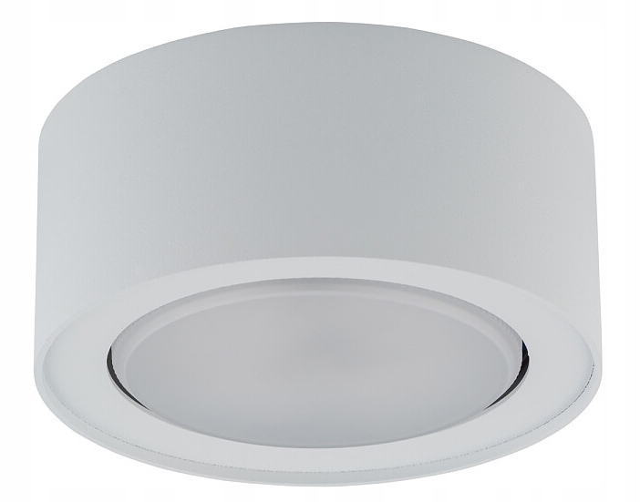 

Lampa sufitowa plafon spot tuba Flea biała