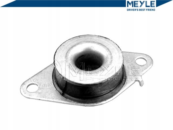 MEYLE 16-14 030 0053 Двигателя