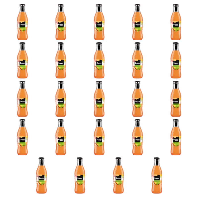 Cappy Multivitamínový ovocný nápoj 250 ml sklo X24
