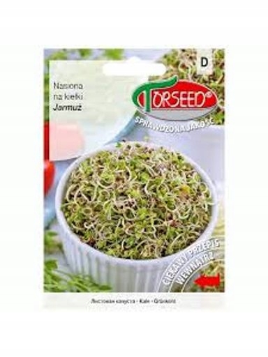 15 x Kadeřávek, semínka na klíčky, odrůda s vysokým obsahem