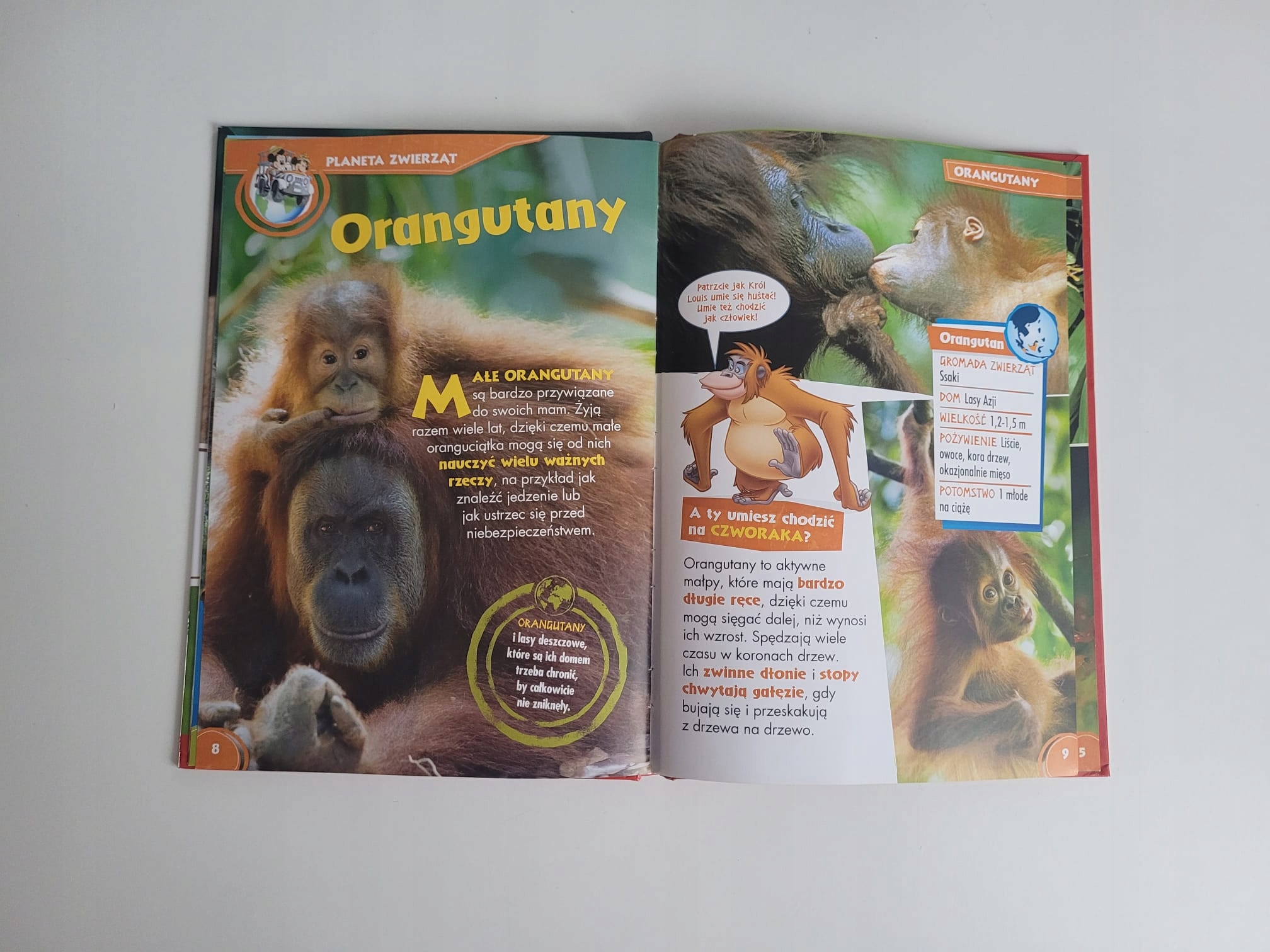 Książka Przyjaciele na safari Disney Wydawnictwo Disney Eneterprises Inc