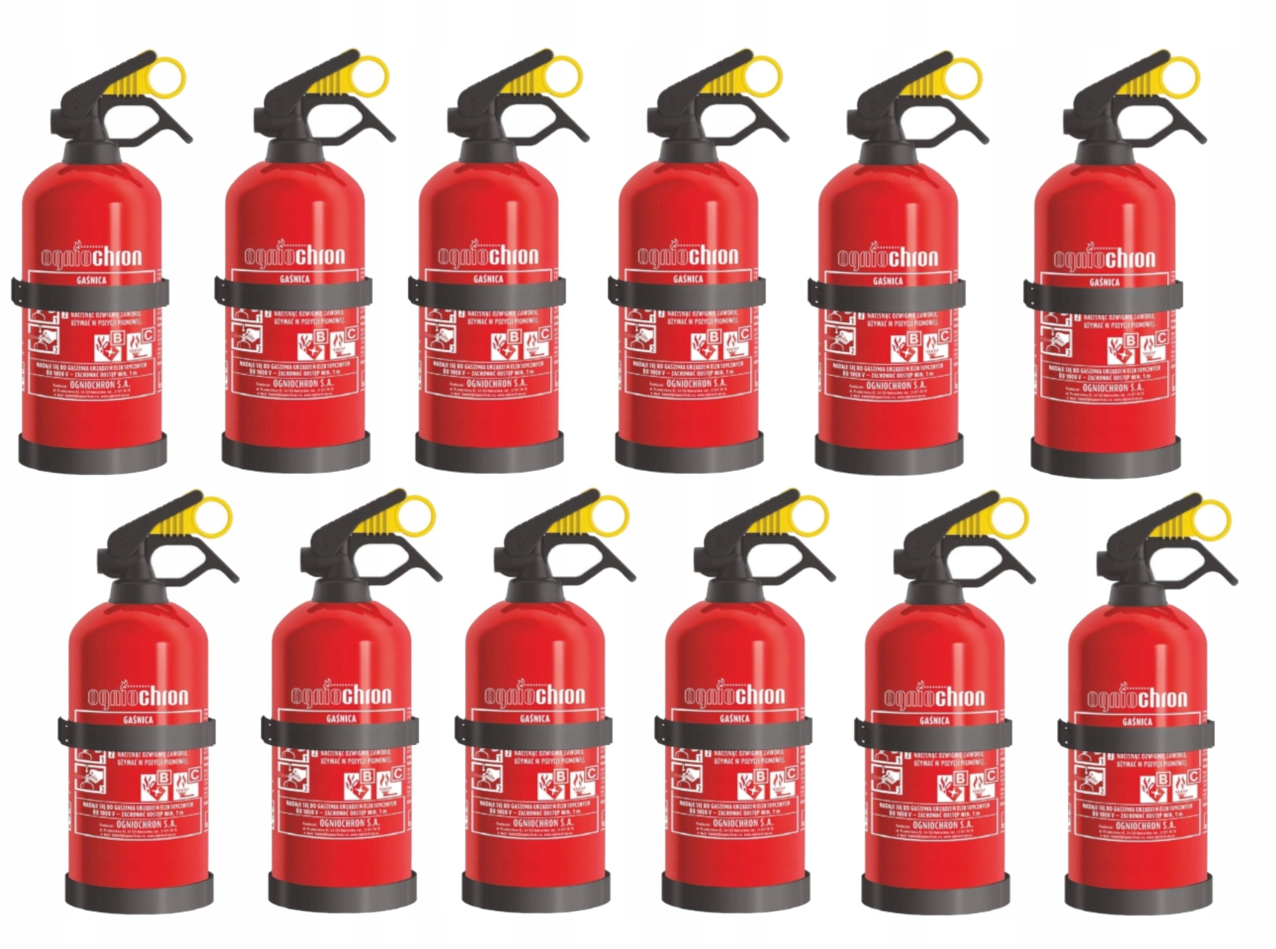 12 x Hasiaci prístroj do auta 1 kg s držiakom Ogniochron