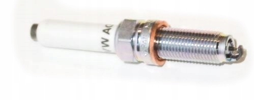 DOVE 　スプリング　ML spring | 国産高級ウェットスーツのDOVE