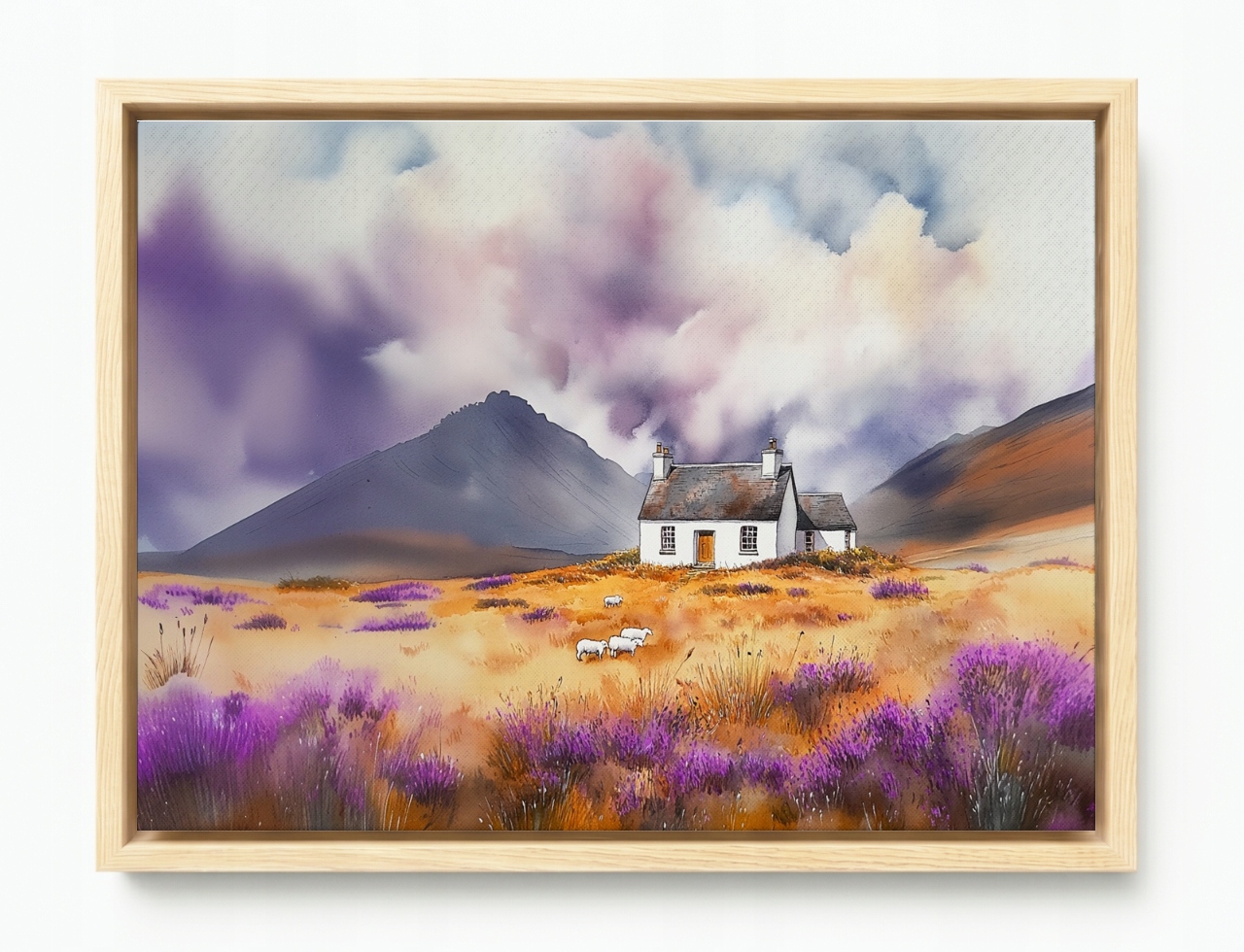 Obraz Rám American Box Krajina Škótsko Highland Hory Dom Vresy Ovce 80x60
