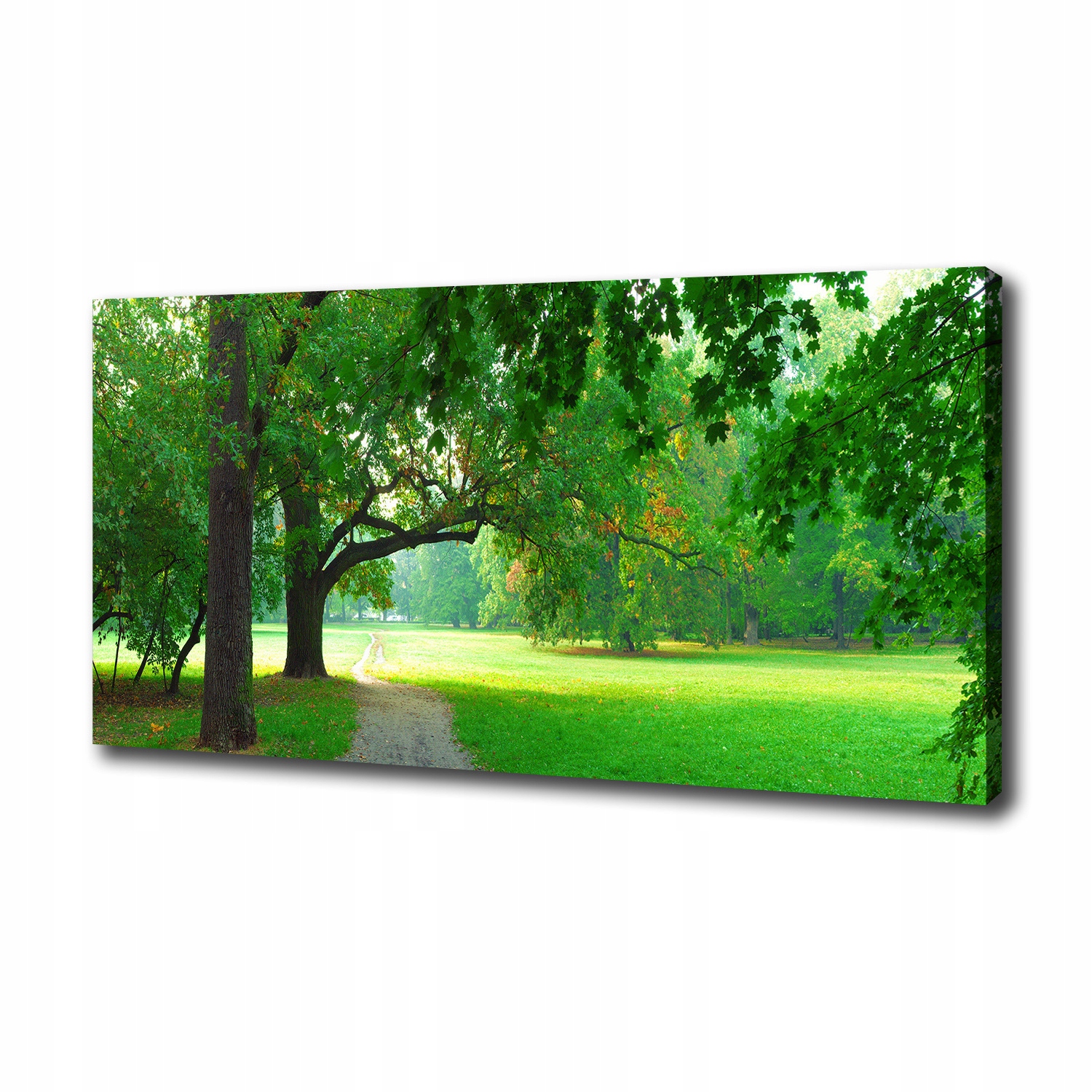 

Foto obraz na płótnie Park jesienią 100x50 cm