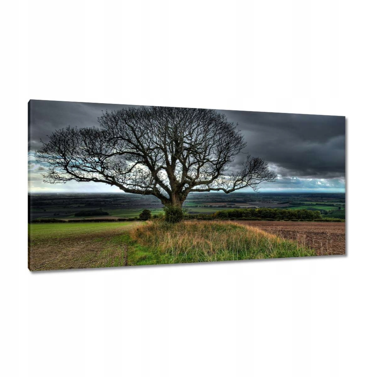 Obrazy 115x55 Strom krajina