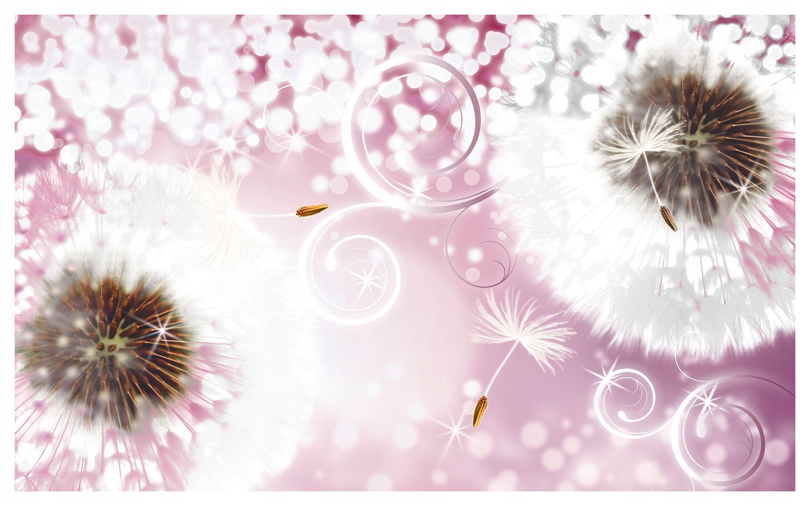 Vliesová fototapeta Púpava ružová Bokeh Lesk Gradient 300x210 lepidlo