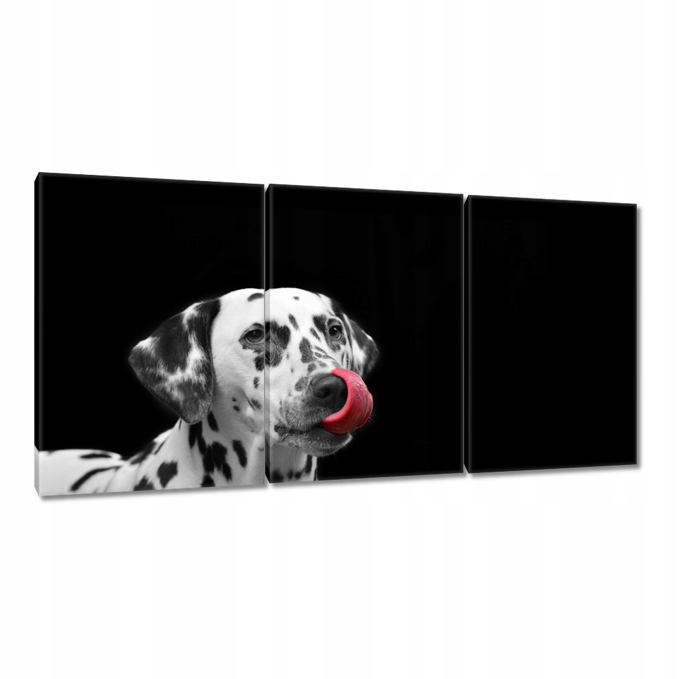

Obrazy 120x60 Wywalone na wszystko
