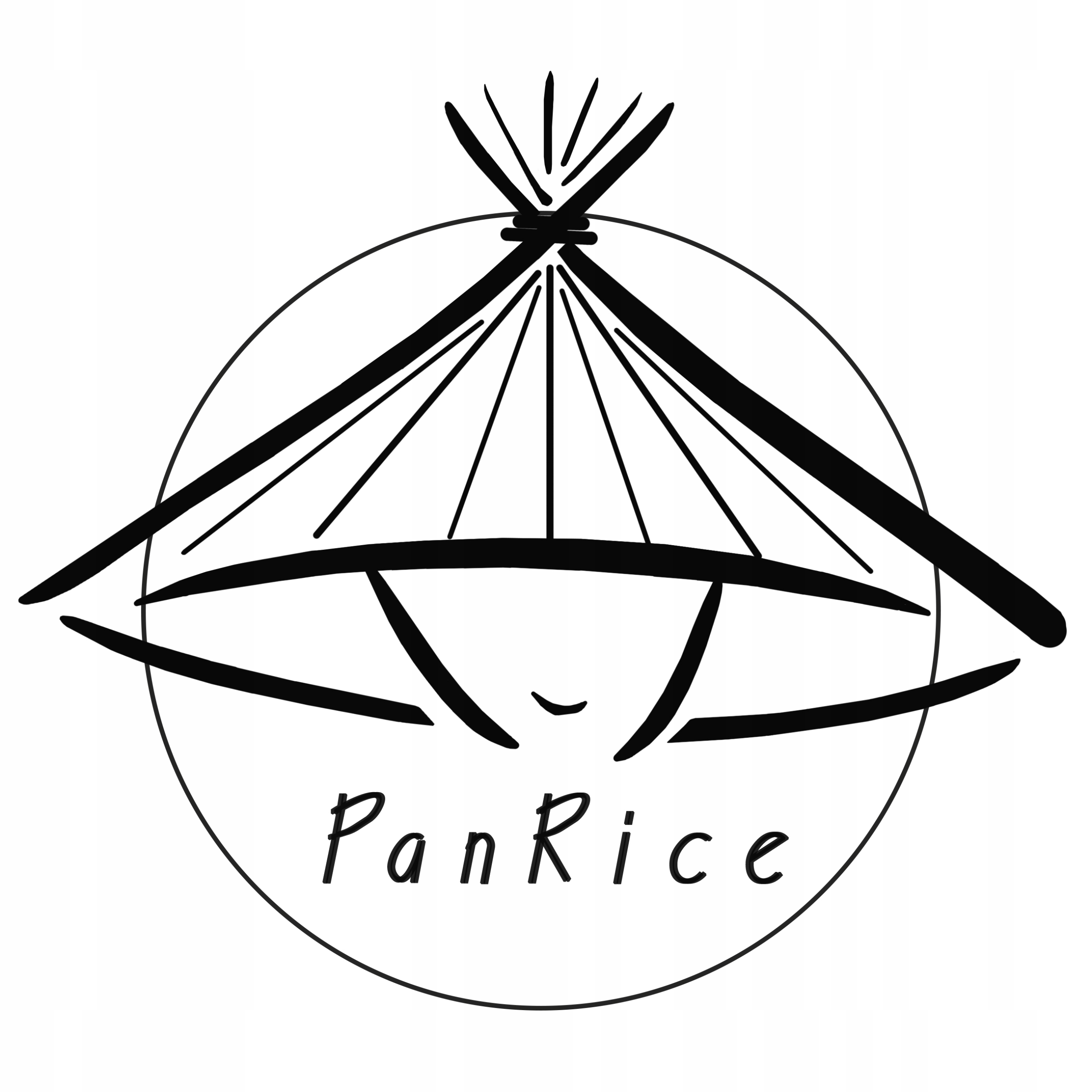 Ryż Parboiled Basmati 2 kg Marka PanRice