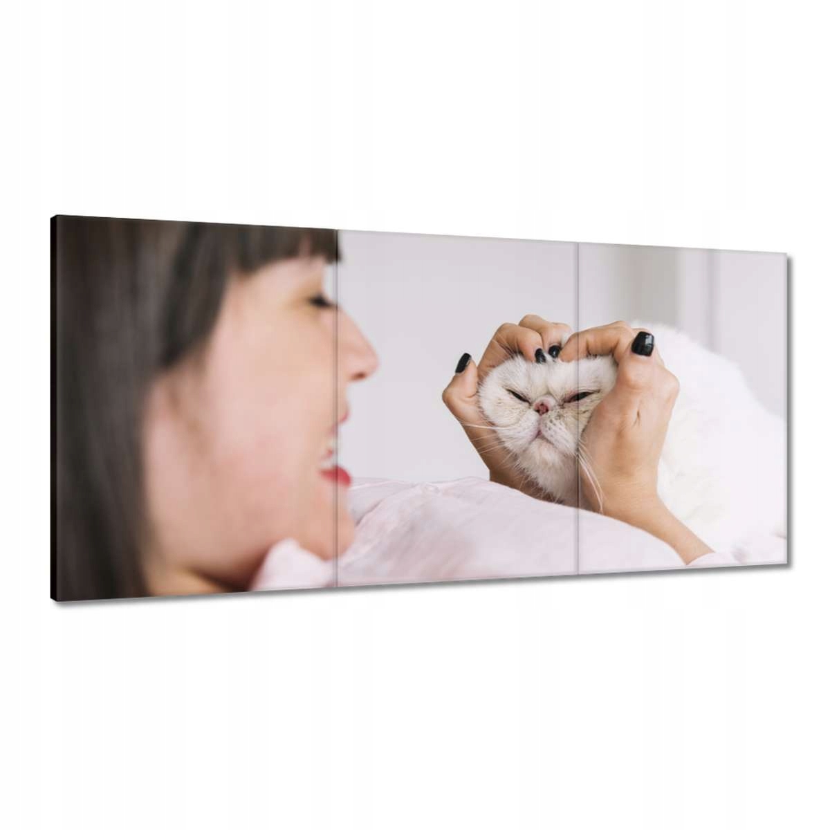 Obrazy 180x90 Kočka Kočky Kicia