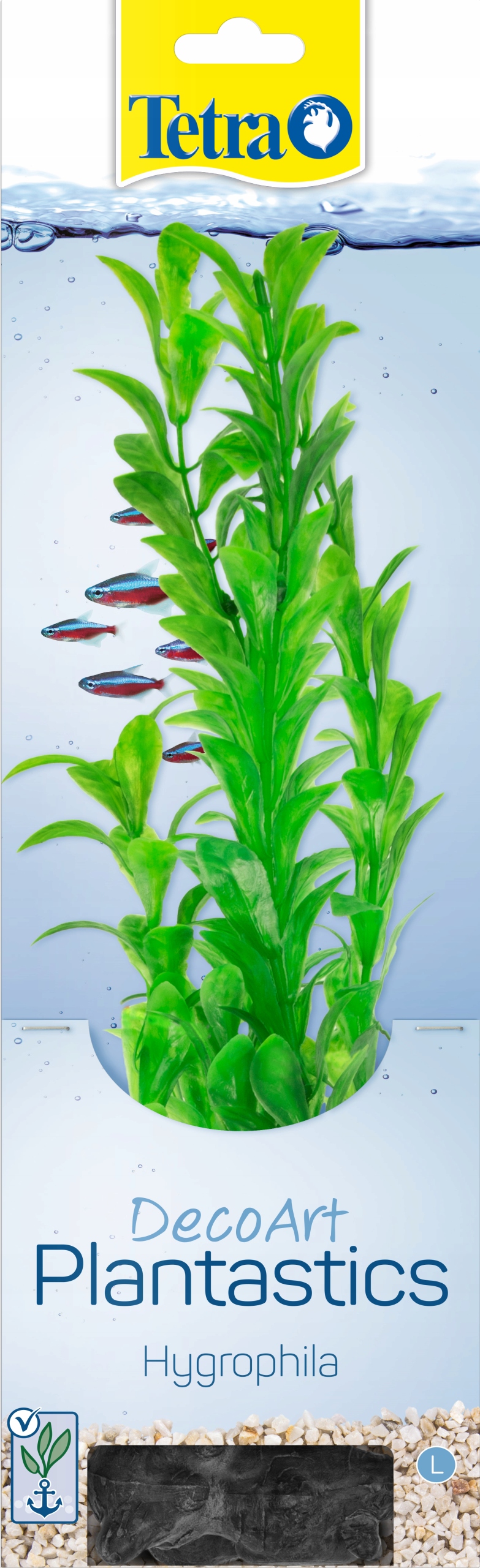 

Tetra roślina akwariowa 30 cm Hygrophila