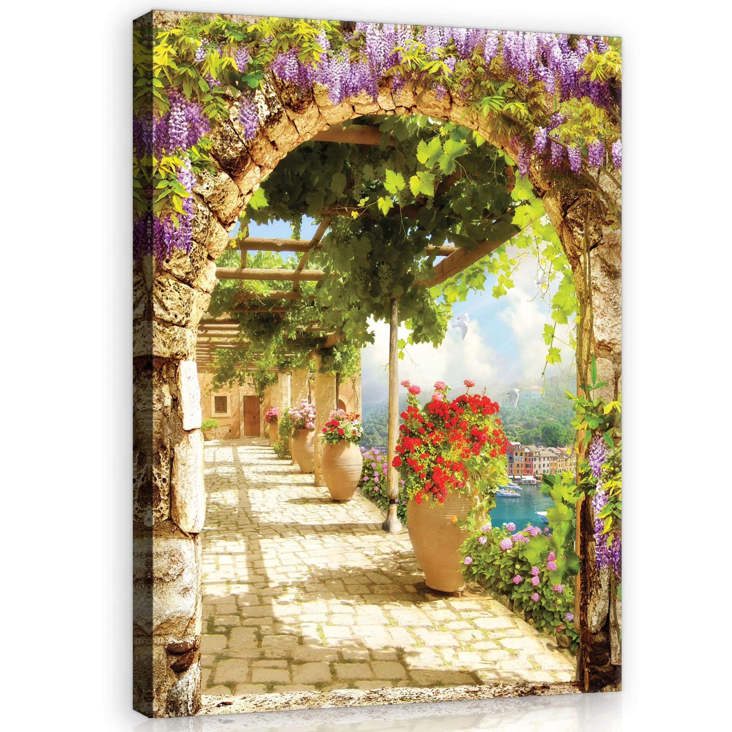 Obraz 75x100 Středomoří Itálie Toskánsko glycinie arkáda moře klid