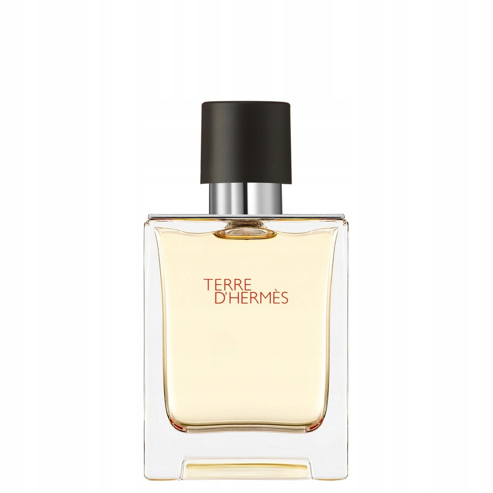 Terre D'Hermes Toaletní voda sprej 50 ml Pánská dřevitě-ovocná vůně