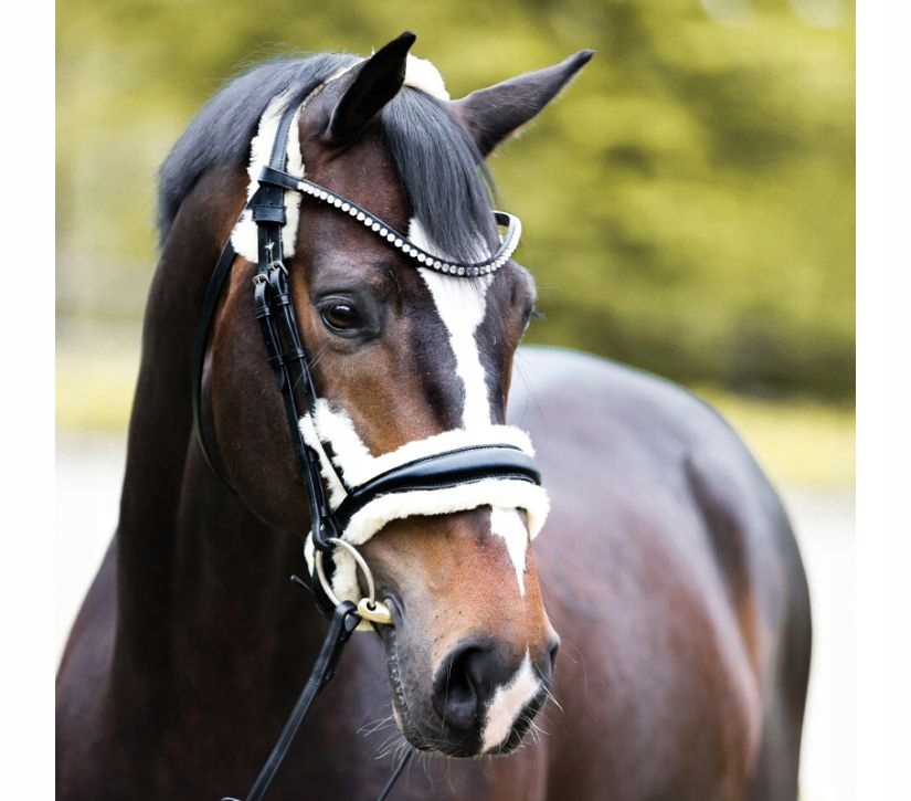 Ogłowie z wodzami anatomiczne dla koni czerń futro naturalne Joyce Full
