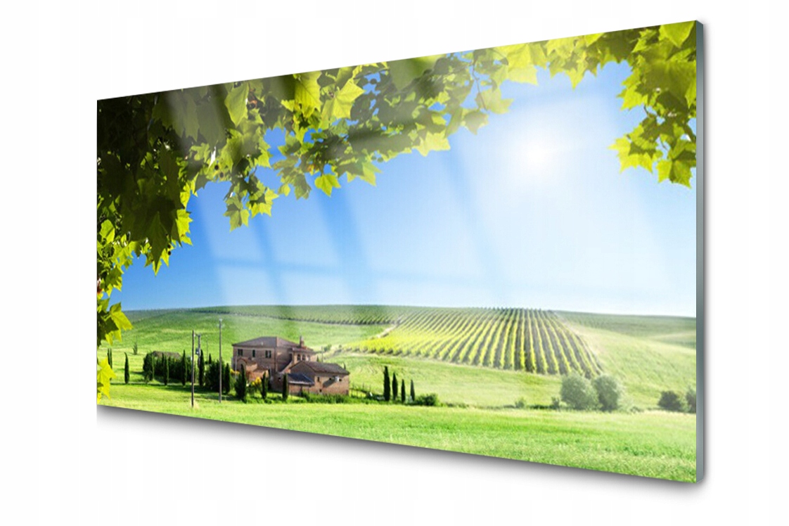 

Panel szklany Płytka Pole Liście Winnica 100x50