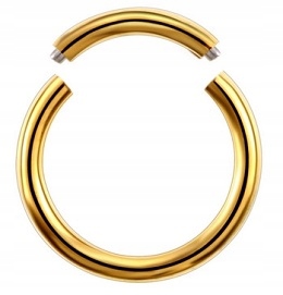 

Kolczyk kółko segment złoty Conch Daith 1,6/12