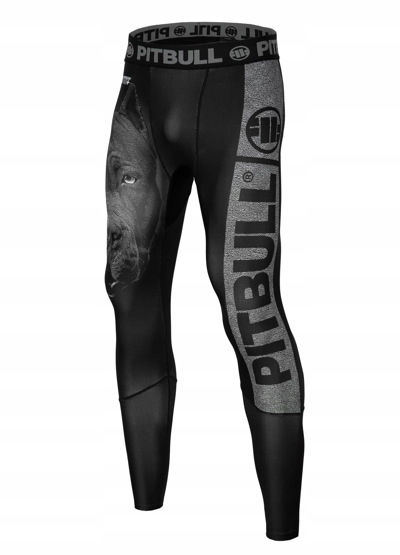MĘSKIE LEGGINSY KOMPRESYJNE PIT BULL TRENINGOWE XL EAN (GTIN) 5903592130559