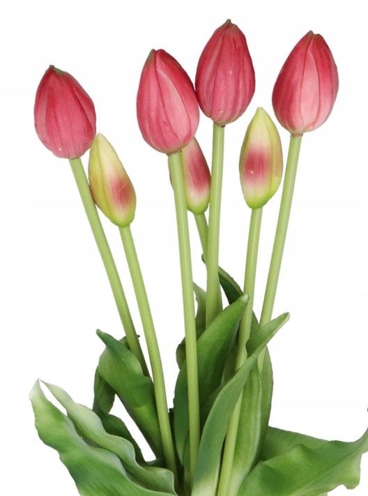 

Tulipany Bukiet Tulipanów Kwiaty Gumowe Jak Żywe