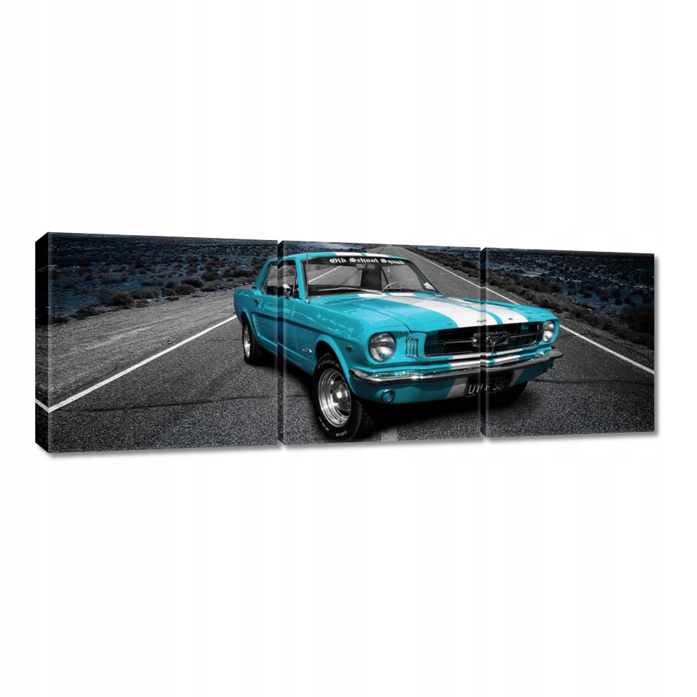 

Obrazy 120x40 Błękitny Ford Mustang