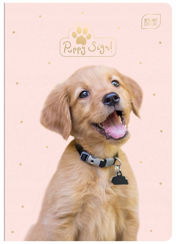 

Zeszyt szkolny A5/32k kratka kot, pies Interdruk