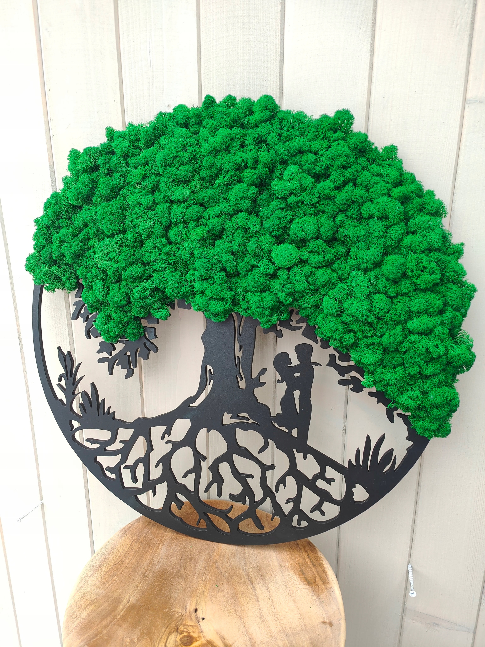 Drzewo bonsai z mchem PARA MŁODA 70 z chrobotkiem mech podziękowanie Forma inny