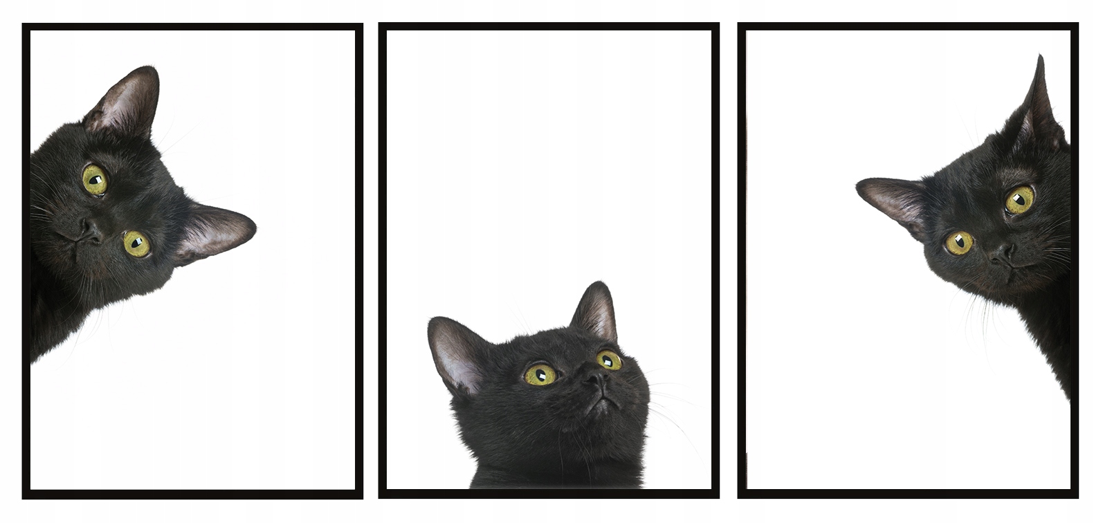 Obraz Plakáty V Rámu 53x73 cm Triptych Sada 3 obrazů Černá Kočka P916