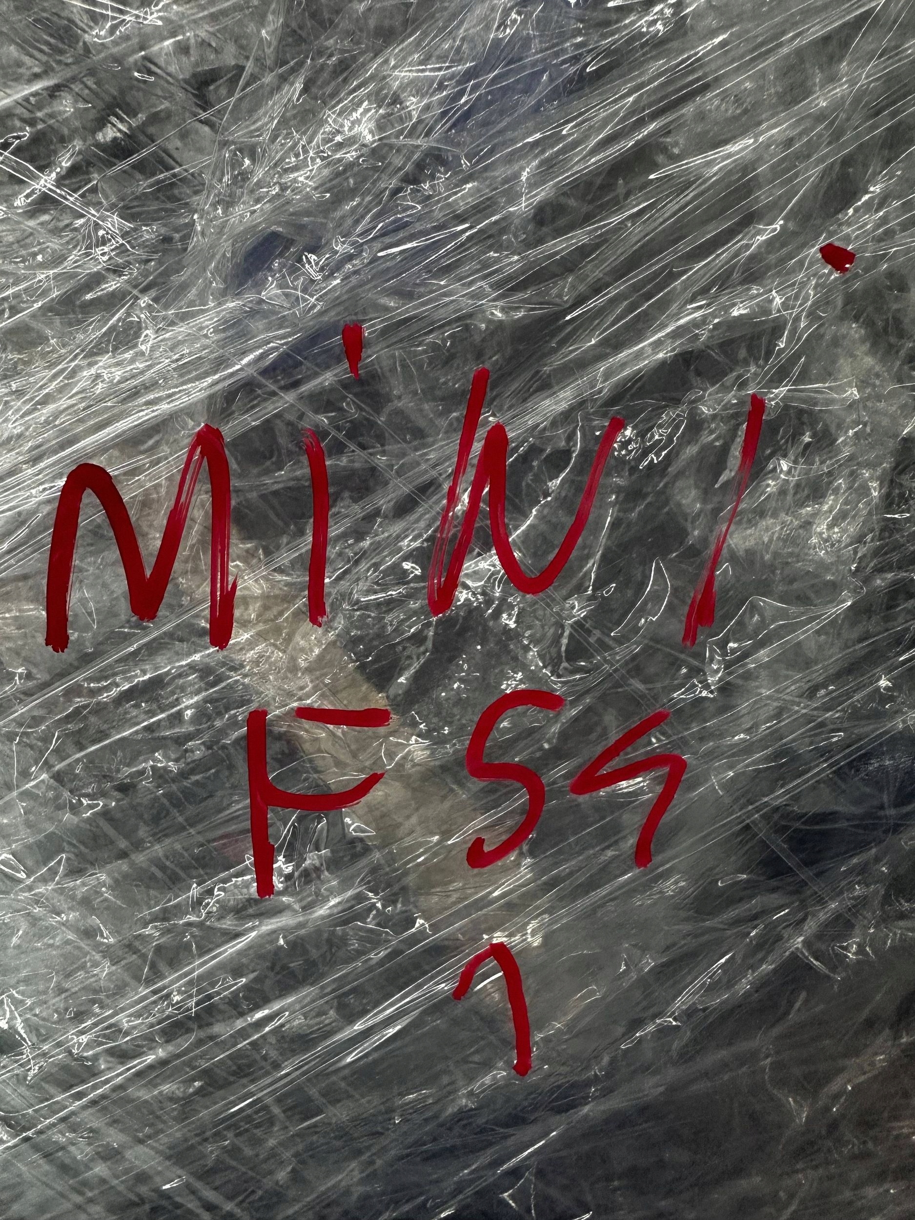 door front front side left Mini Clubman F54