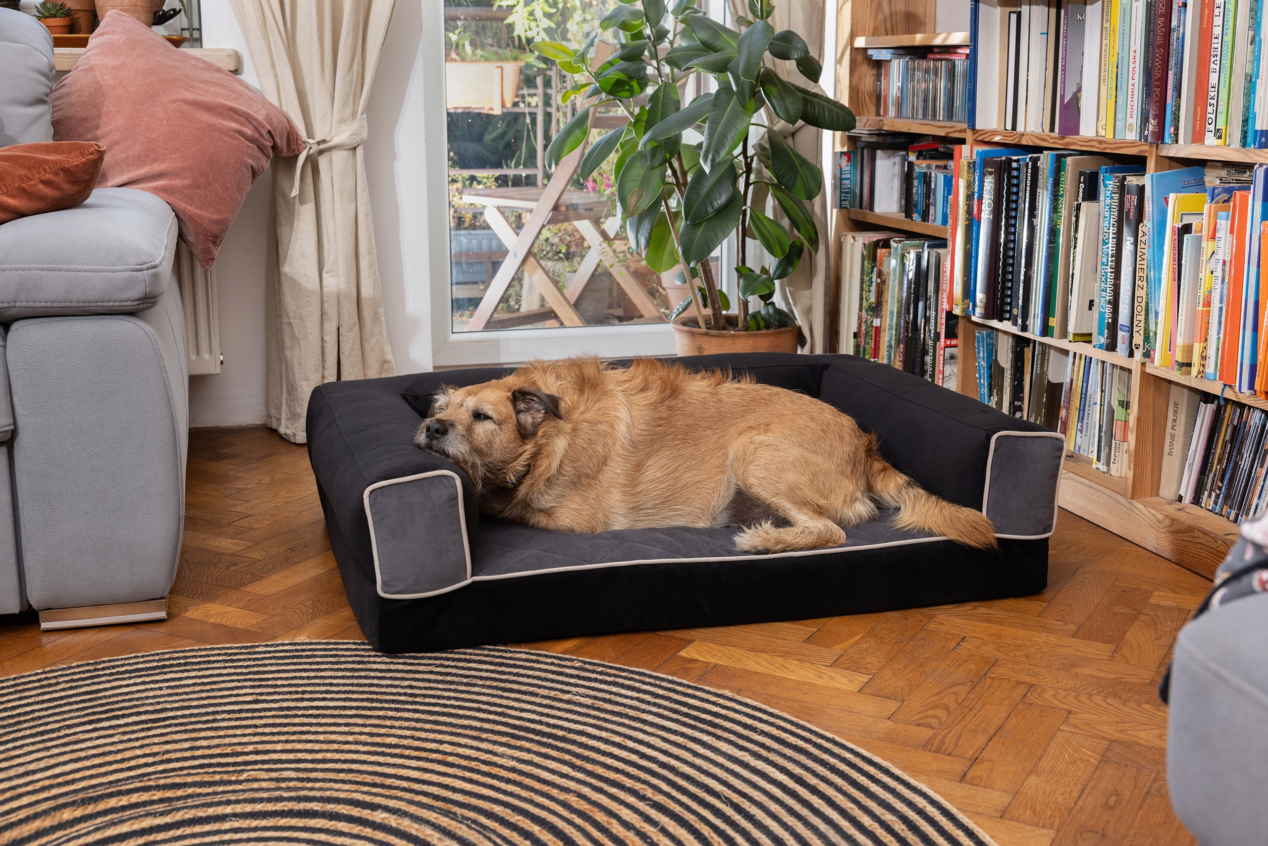 Ортопедическая кровать для собак, велюровый диван 80x60, размер L