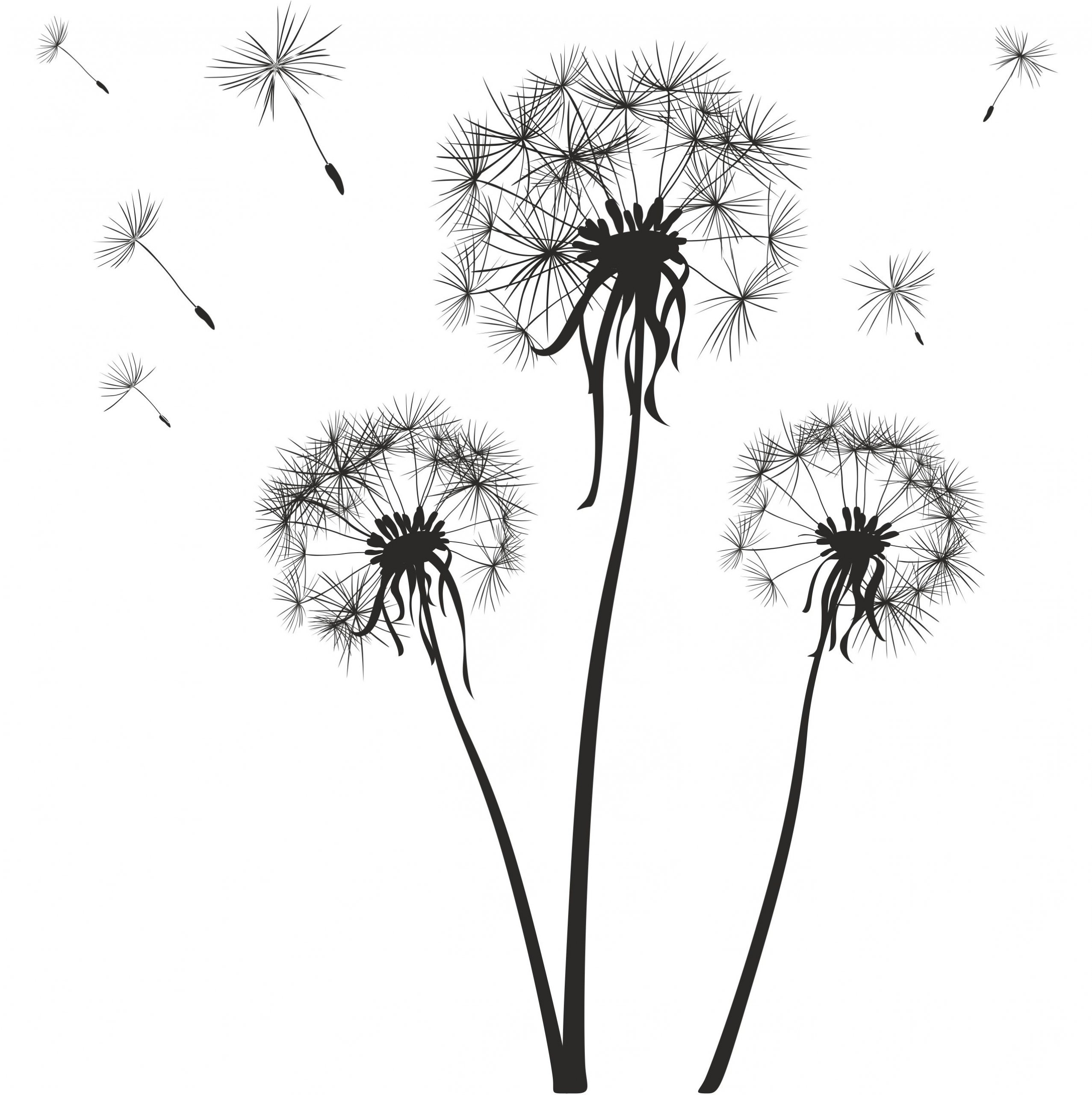 Одуванчик стикер стены 3шт стикер стены